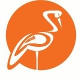 WE SHINE ACADEMY