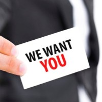 Professional Recruiter
