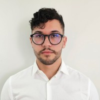 Pedro Henrique Marçal Felizola
