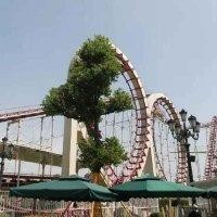 陆海空