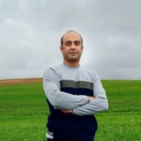 Morteza Rezaei