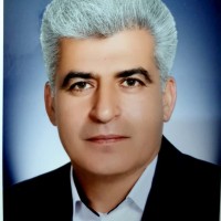 Mohammad Reza Zare