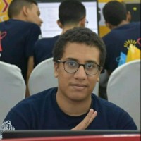 Mohamed Bakr