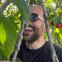 Tiago Gomes Sequeira