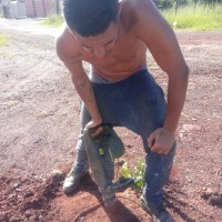 Guilherme Henrique