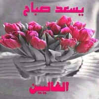Hayat Elnour