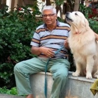 Venkatesh Harirajan M.Stat(Isi),Pmp(Pmi)