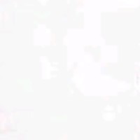 مستشار مستشار