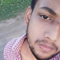 BIPIN  KUMAR BISWAL