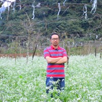 Quang Luu