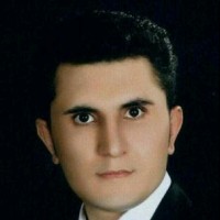 saeid Baghaee