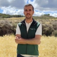 Jaime Bagüés Montesa