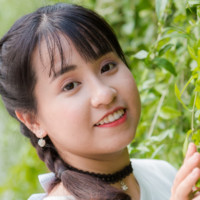 Dương Nguyễn
