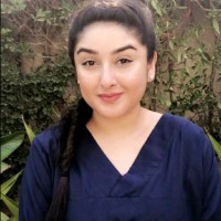 Mashal Arshad