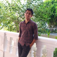 Gonzalo David Perez P.
