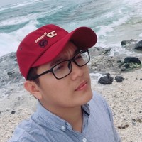 The Vinh Nguyen