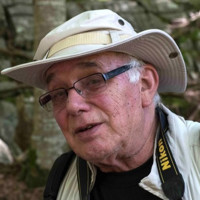 Peter Schaub