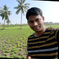 Vijay Kumar Mani