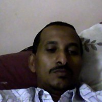 alaa sharaf ahmed ali
