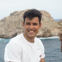 Mikel Larrauri Dominguez