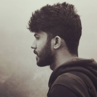 Jayaraman K