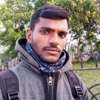 Murali P Murali