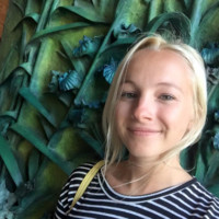 Molli Kleeman