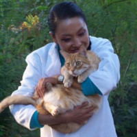 Xilin George