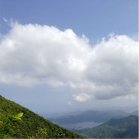 TS-Owen fei