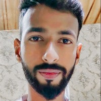 Mohammad Hamza Alam