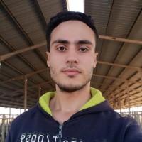 Abdelhadi Saad Marie