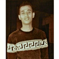 Alaa Abo Alhamd
