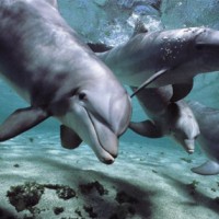 ирина гатиятуллина