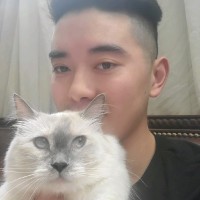 Leo Sun