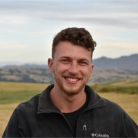 Gilad Weiss