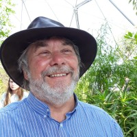 Wayne Murton