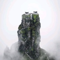 kinson shen