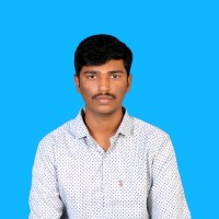 Vignesh P