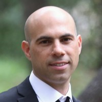 Doron David
