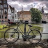Sandra Roffel