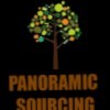 panoramic marketing