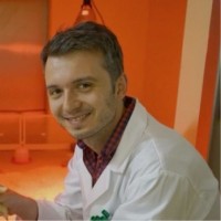 Sead Hadžiabdić