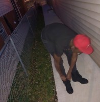 Brandon Brown