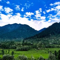 Feroze Ahamd