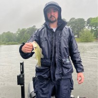 Cody Stringfellow