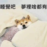 Wei Wei