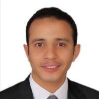 Amr Said Elmasry,Mba,Ccna,Gvf