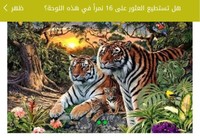 Emad Alebrahem