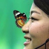 Rollingston Robinson