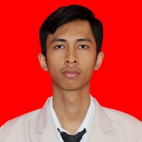 Aldi Geraldi